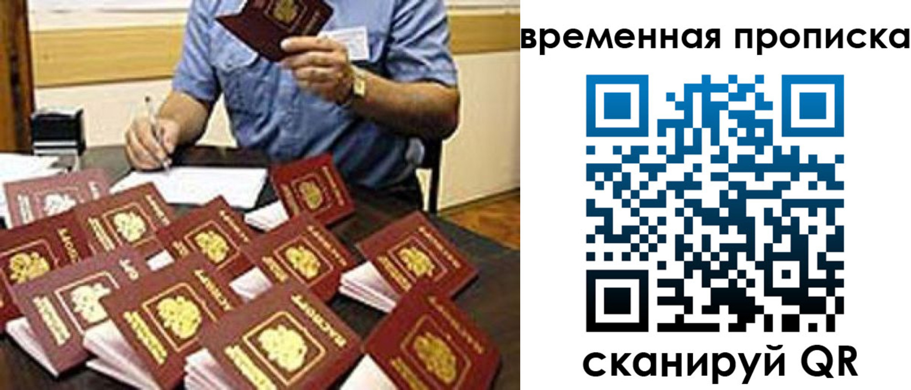 прописка для школы в Называевске